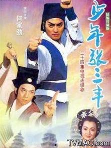 老版电视剧少年张三丰