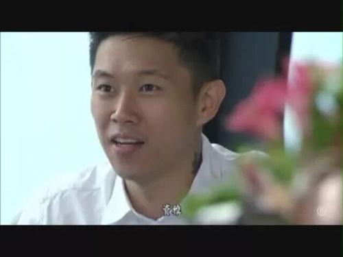 欧阳靖演的电视剧,演绎传奇人生，电视剧中的璀璨星光